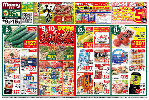 2026年6月9〜15日までPOMY_6.9-15_チラシ_A1-1