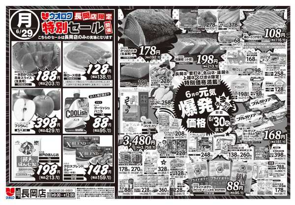 ウオロク 長岡店限定　特別セール-2