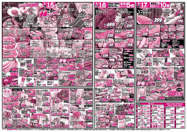 最新チラシ-2