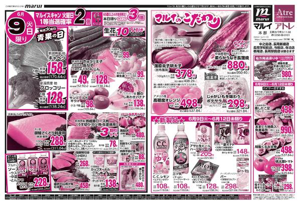 2026年6月9〜12日まで-1