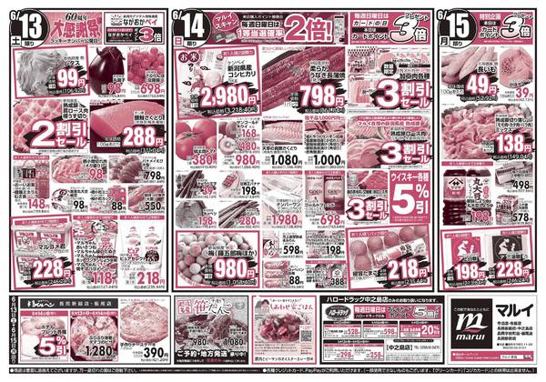 2026年6月13日〜15日まで-2