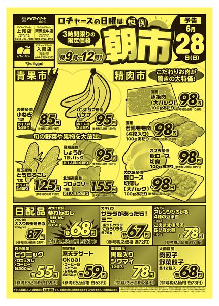 折り込みチラシnew-1