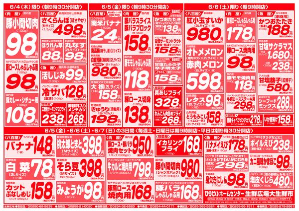 最新チラシ-3