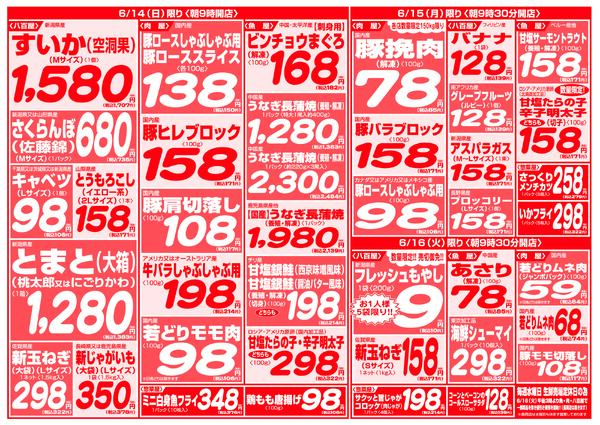 最新チラシnew-4