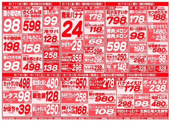 最新チラシnew-3