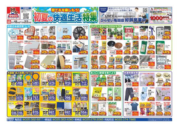 最新チラシnew-5