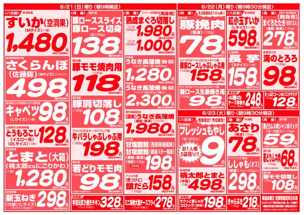 最新チラシnew-11