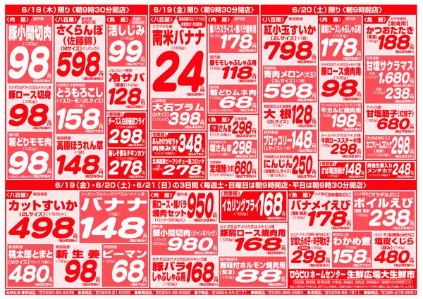 最新チラシnew-10