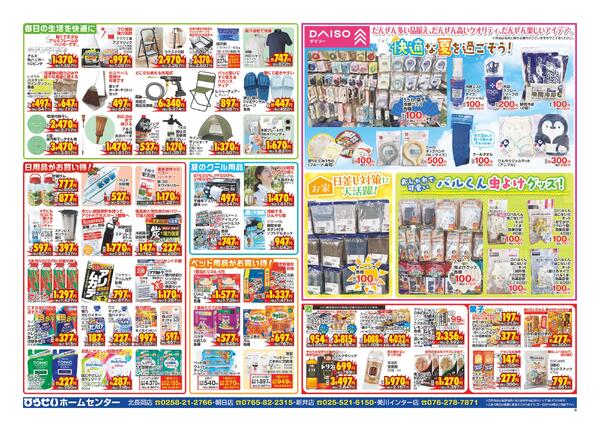 最新チラシnew-6