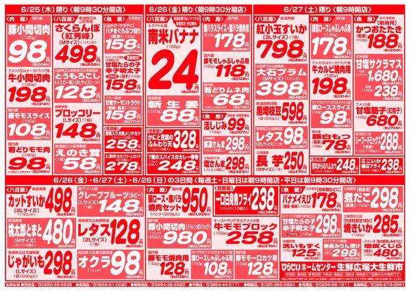 最新チラシ-3