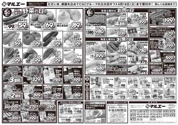 2026年6月3〜6日まで-2