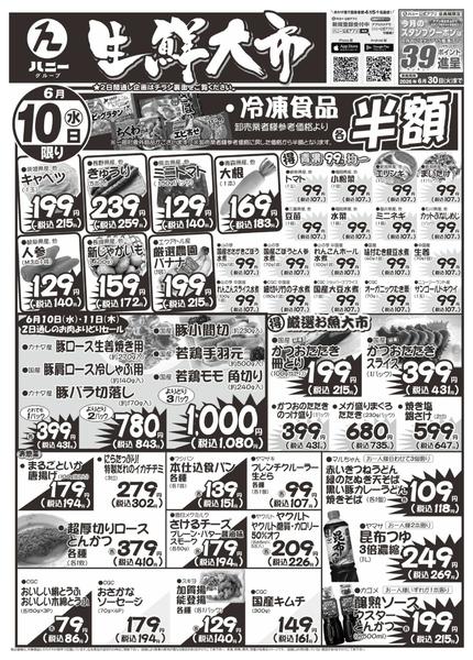 2026年6月10日限りnew-1