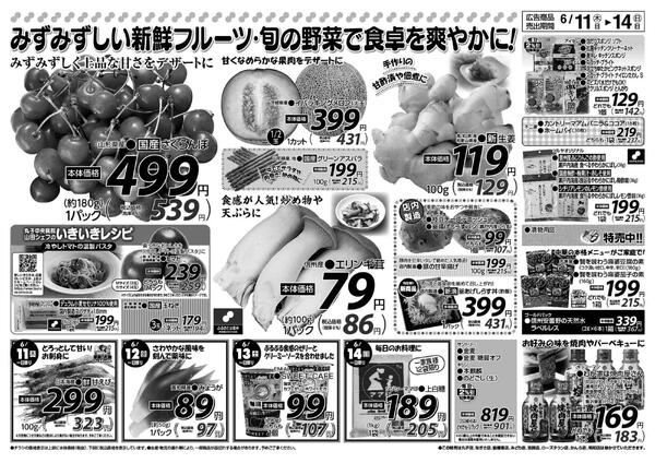 　6/11（木）～6/14（日）new-2