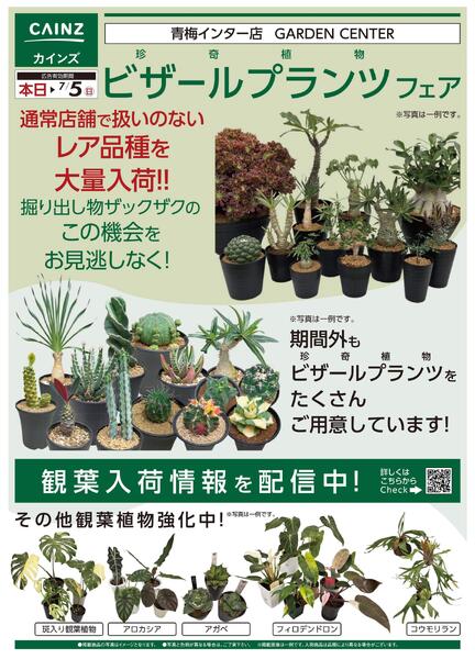 ビザールプランツ-1