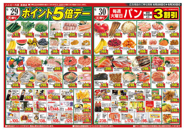 最新チラシnew-2