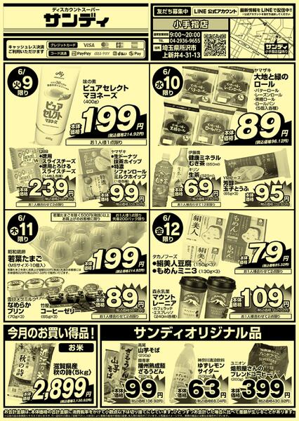今日のチラシ-1