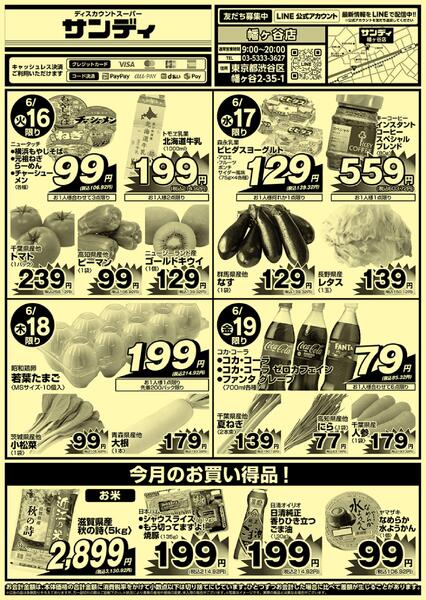 今日のチラシnew-1