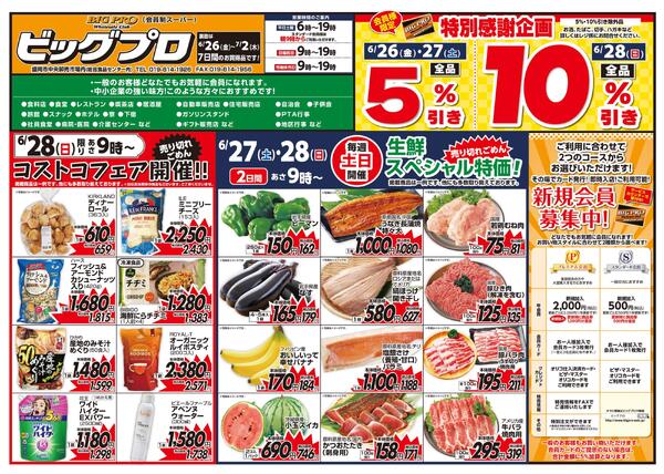 ビッグプロ-1