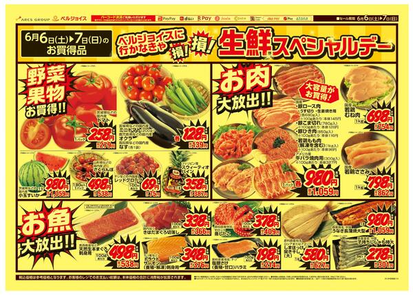 ビッグハウスおっ得号外-2