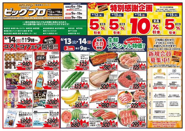 ビッグプロ-1