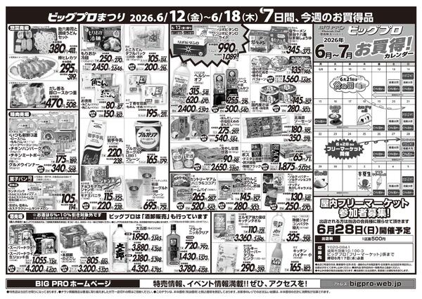 ビッグプロ-2