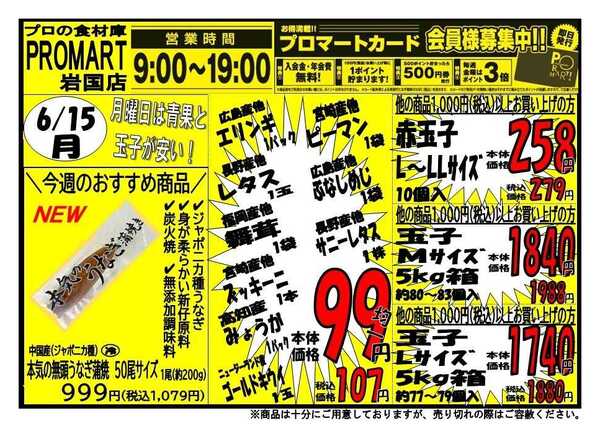 プロマート 6/15(月)～6/18(木)-1