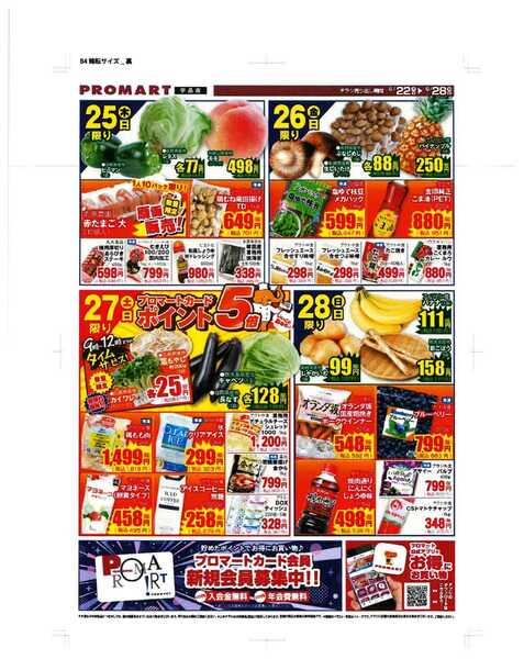 プロマート 6/22~6/28-2