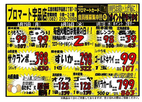 プロマート 6/15~6/21-1