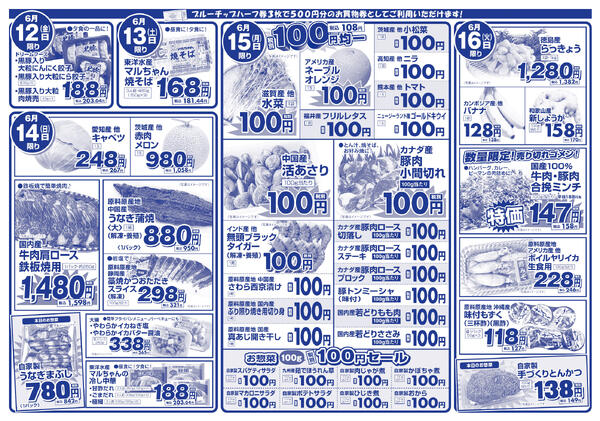 6月12日(金)～6月16日(火)の新聞チラシnew-2