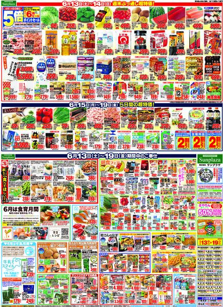 最新チラシnew-1