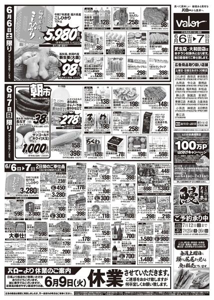 2026/6/6(土)〜2026/6/7(日)　お魚大市new-2