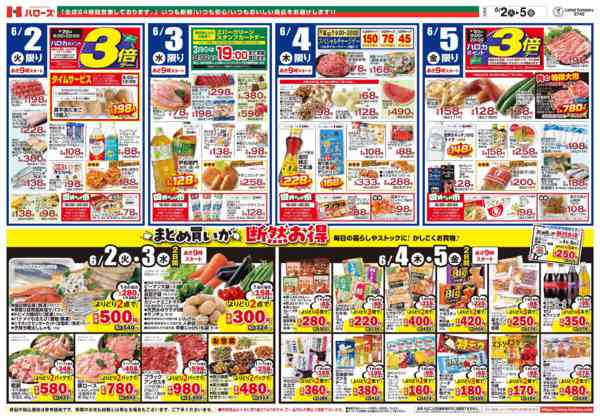 2026年6月2〜5日まで　6/2(火)～6/5(金)-2