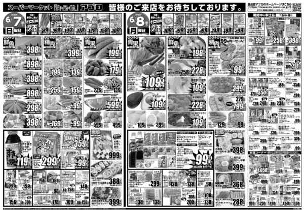 2026年6月6〜8日まで-2