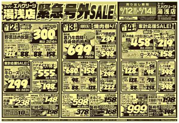 2026年6月12日〜14日まで緊急号外SALE!new-1