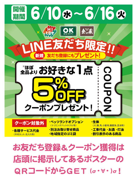 2026年6月10〜16日までクーポン配布中！-1