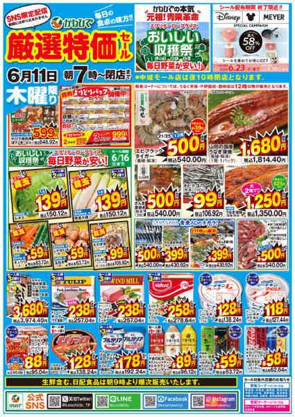 2026年6月11日限りSNS限定！厳選特価セールnew-1