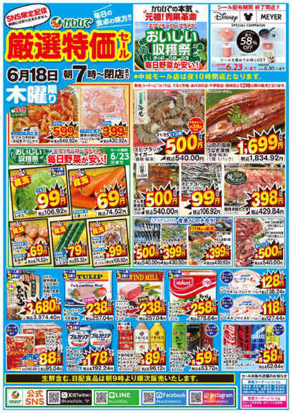 2026年6月18日限りSNS限定　厳選特価セールnew-1