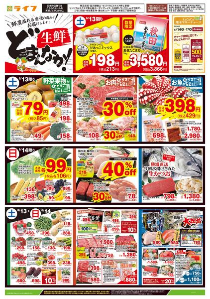 6/13号　生鮮どまんなか！new-1