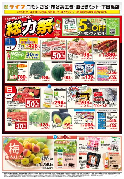 6/6号　総力祭/梅集めました-1