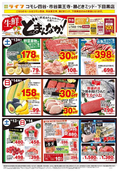 6/13号　生鮮どまんなか！new-1