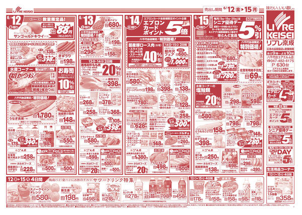 2026/06/12〜2026/06/15-2