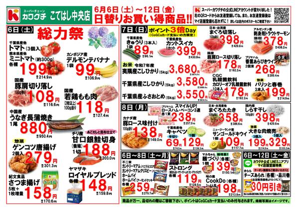 最新チラシ-1