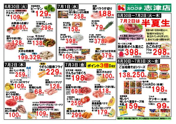最新チラシnew-2