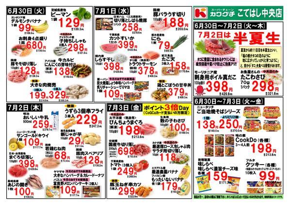 最新チラシnew-2