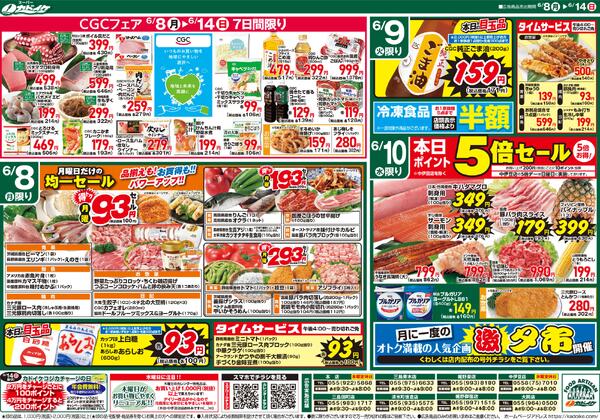 レギュラーチラシnew-1