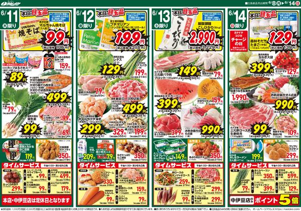 レギュラーチラシnew-2