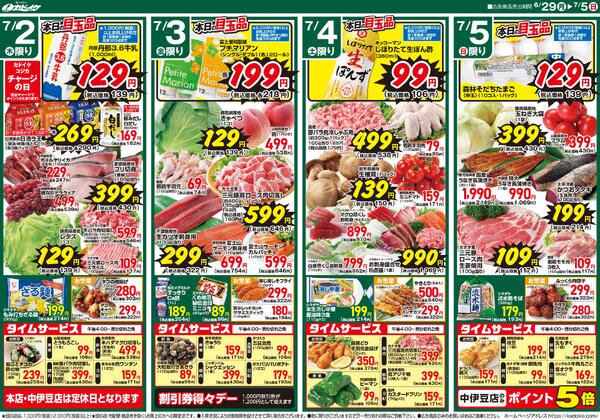 レギュラーチラシnew-2