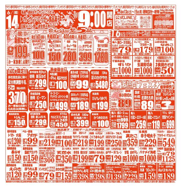 【6月13日(土)～6月15日(月)】 越谷花田店お買い得品のご案内です!!6月13日(土)～6月15日(月)new-2