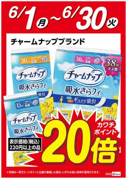 2026年6月1〜30日までチャームナップ　ポイント20倍-1