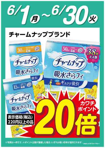 2026年6月1〜30日までチャームナップ　ポイント20倍-1